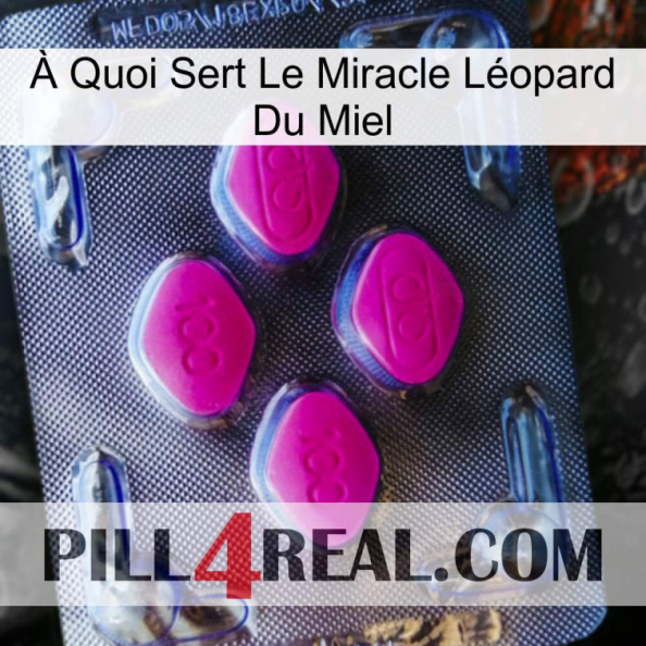 À Quoi Sert Le Miracle Léopard Du Miel 02.jpg